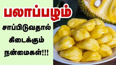 Jackfruit Benefits In Tamil: பலாப்பழத்தின் சிறந்த 11 ஆரோக்கிய நன்மைகள்