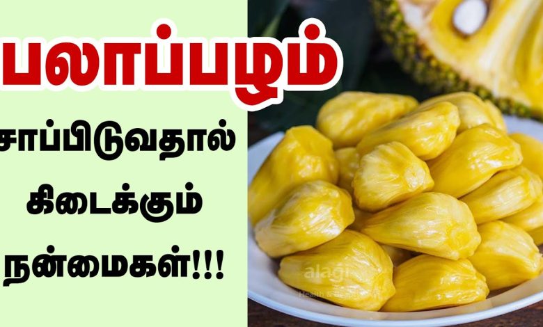 Jackfruit Benefits In Tamil: பலாப்பழத்தின் சிறந்த 11 ஆரோக்கிய நன்மைகள்