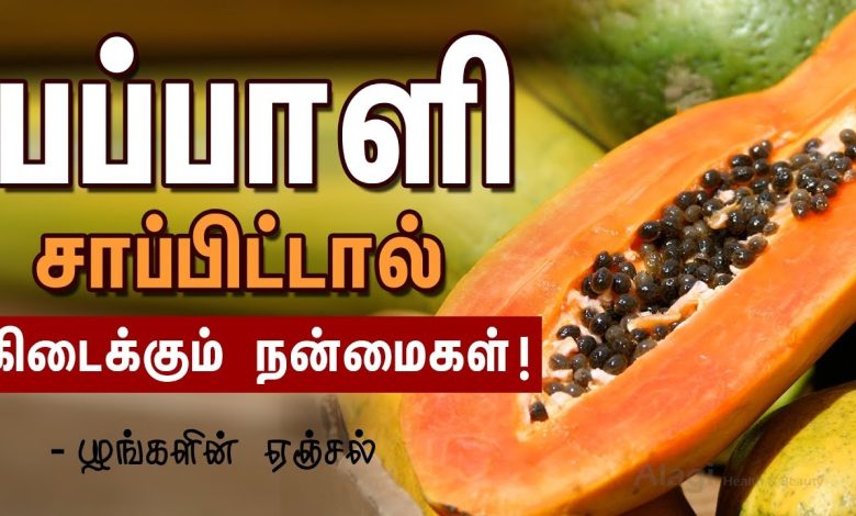 Papapya Health benefits: வெறும் வயிற்றில் பப்பாளி சாப்பிடுவது: 6 ஆரோக்கிய நன்மைகள், ஊட்டச்சத்து உண்மைகள்,