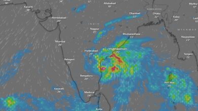 cyclone michaung update