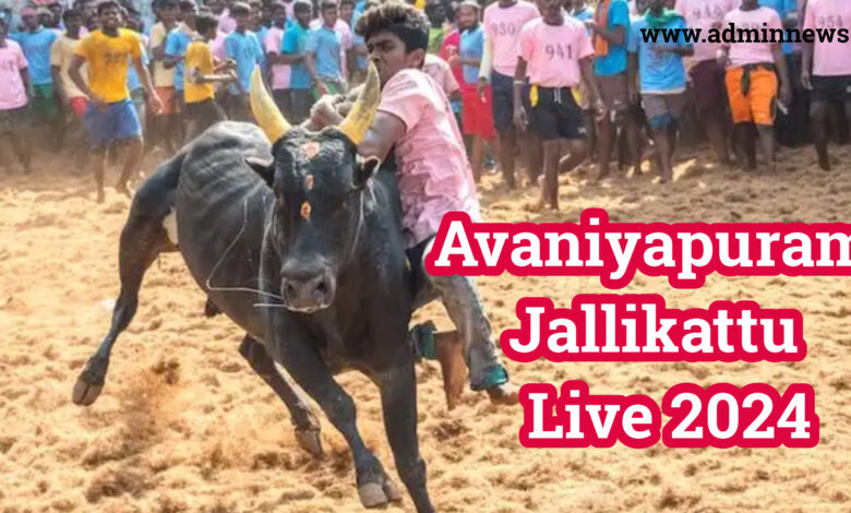 Avaniyapuram Jallikattu Live 2024