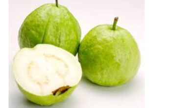 Benefits of guava