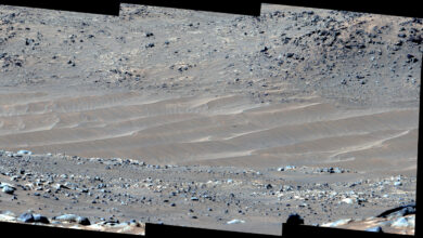 mars rover latest images