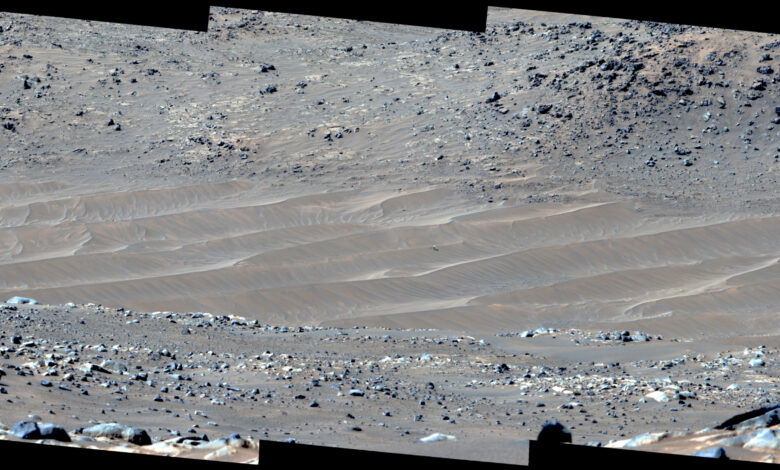 mars rover latest images