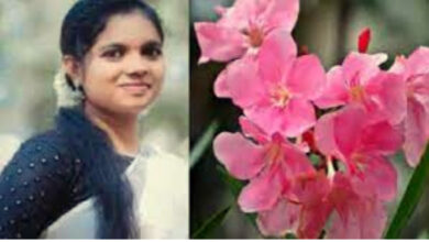 arali flower banned in kerala