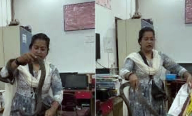 lady catch hiding snake in office