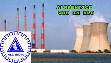 apprentice job in nlc