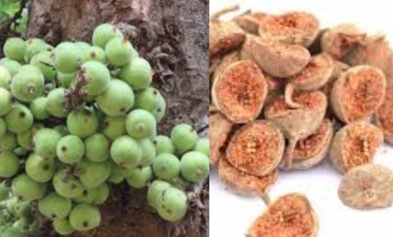 benefits of fig in tamil