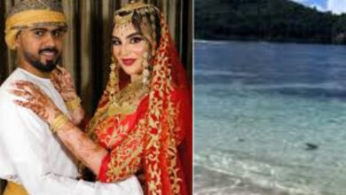 dubai man gifted a Island worth Rs 418 crore for his wife