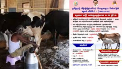 govt loan for dairy cow 