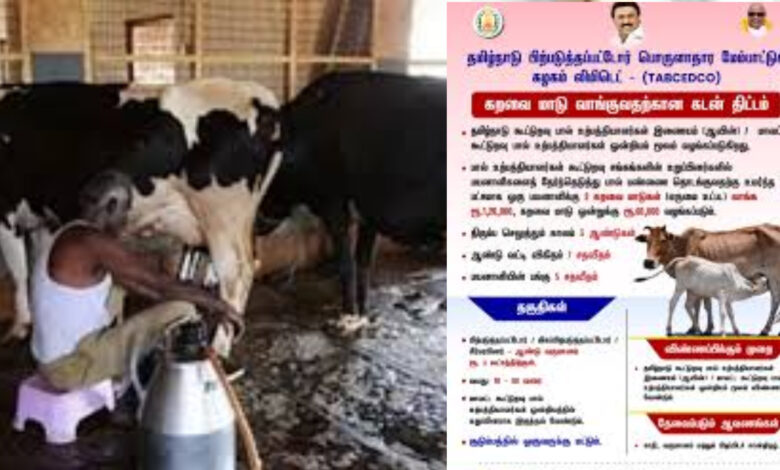 govt loan for dairy cow 