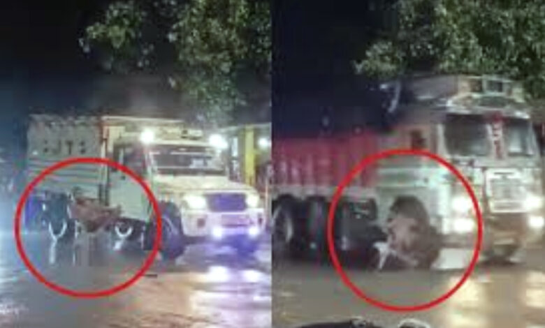 man sitting on chair in middle of road