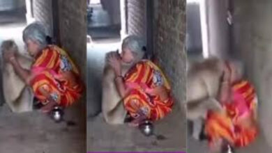 monkey attacks old women